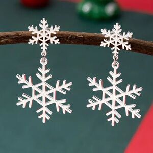 Sleek Snowflake Silver Toned Stud Earrings